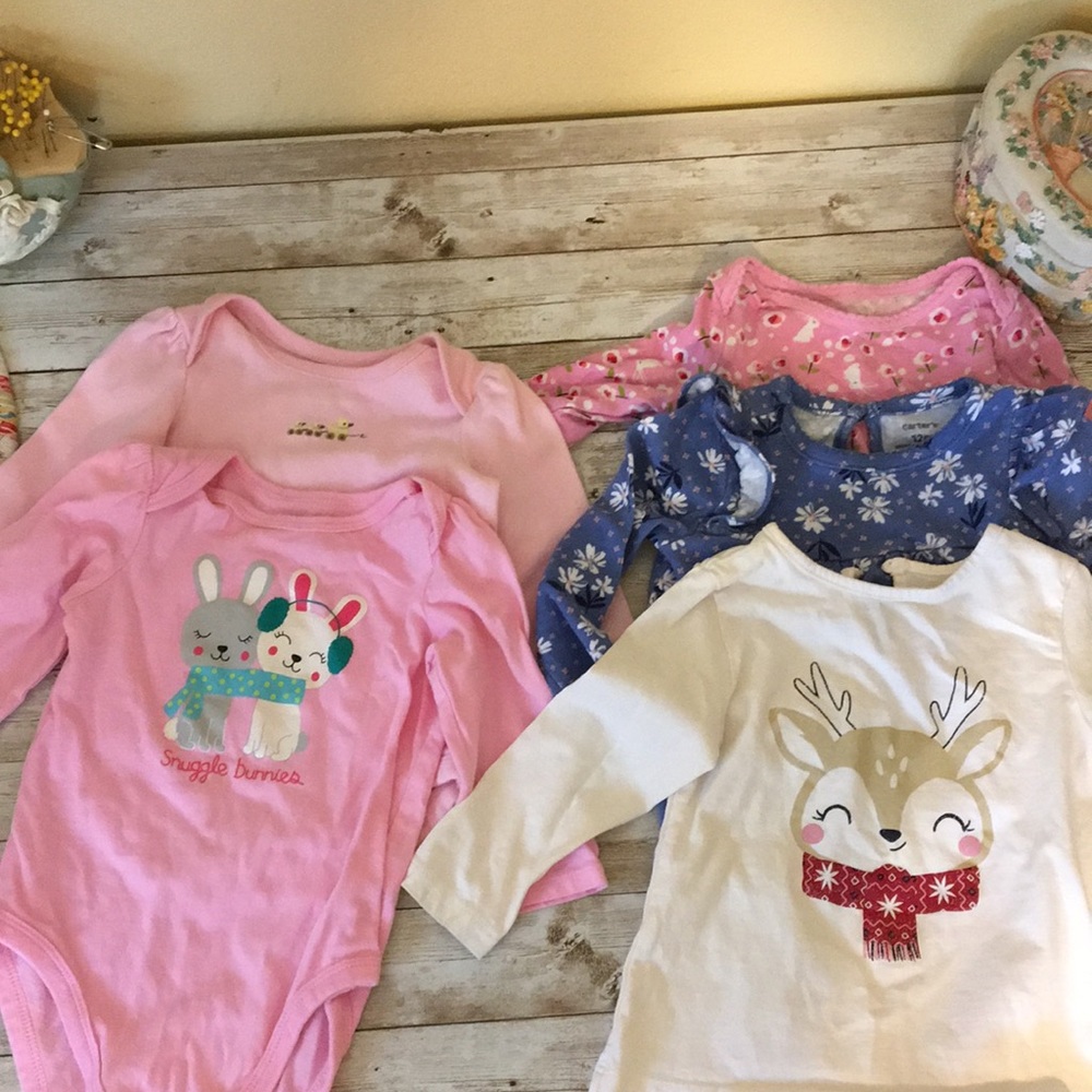 Baby girl onesie lot 3-18 months